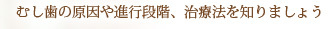 むし歯の原因や進行段階、治療法を知りましょう
