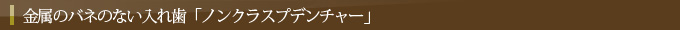 金属のバネのない入れ歯「ノンクラスプデンチャー」